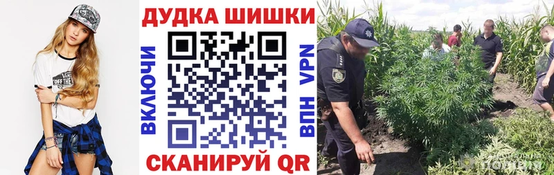 Где продают наркотики Знаменск Бошки Шишки  COCAIN  Меф мяу мяу 