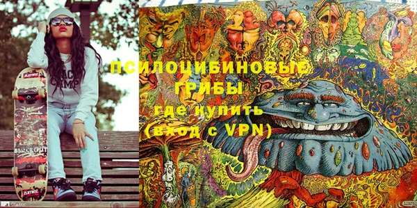 ПСИЛОЦИБИНОВЫЕ ГРИБЫ Абдулино