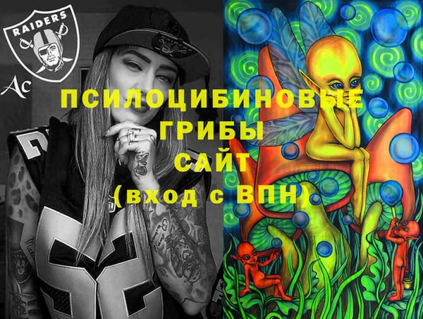 ПСИЛОЦИБИНОВЫЕ ГРИБЫ Абдулино