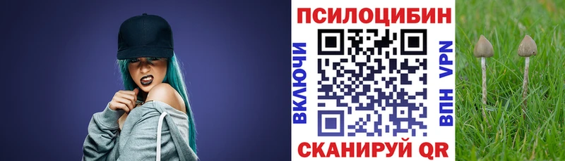 цена наркотик  нарко площадка клад  Псилоцибиновые грибы Psilocybine cubensis  Знаменск 